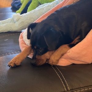 Meet your Posher, Gail